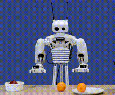 Gif greengrocer