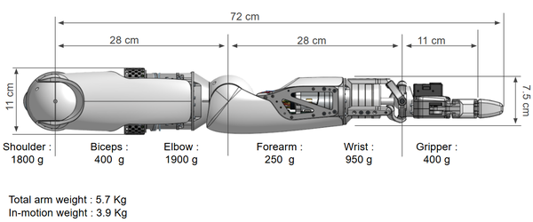 Arm dimensions