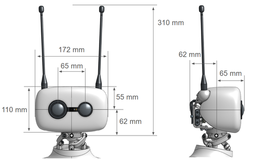 Head dimensions