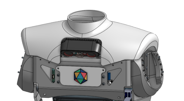 Torso camera