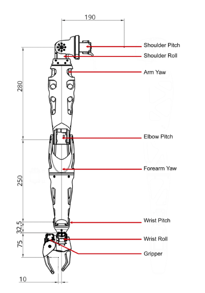 Right arm schematic