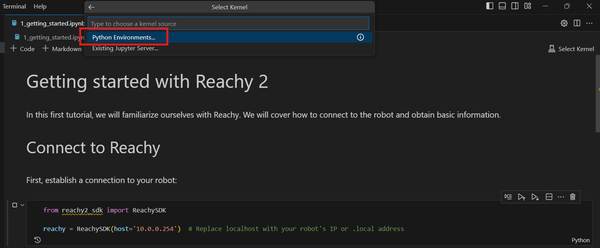 Select Python environment